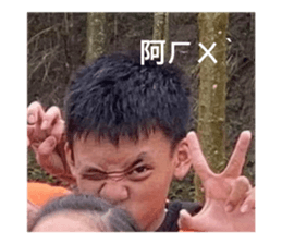 449706347