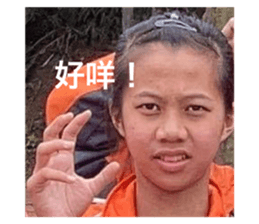 449706350