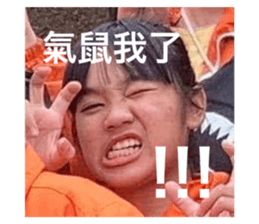 449706355