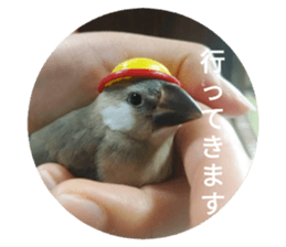 449711113