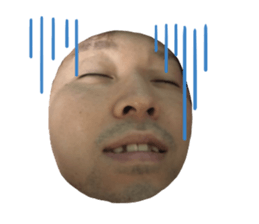 449732273
