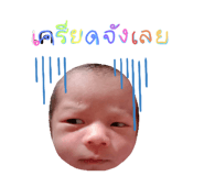 449845609