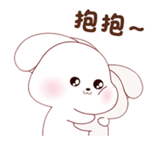 449904354