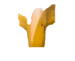 449918396