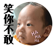 449953020