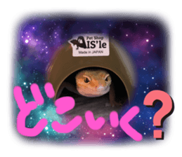 449986678