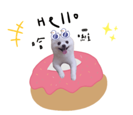 450018359
