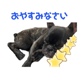 450095460