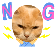 450232885