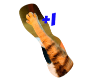 450319467