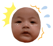 450338868