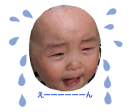 450363950