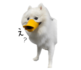 450372220