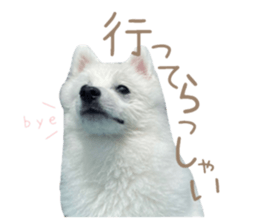 450372234