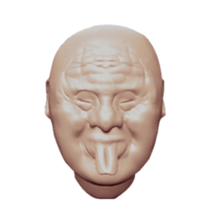 45040416