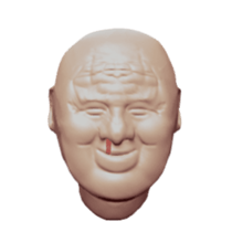 45040419
