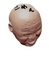 45040428