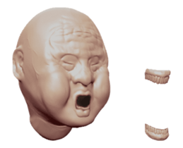 45040431