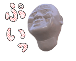 45040435
