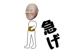 45040437