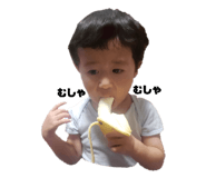 450409746
