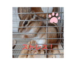 450470669