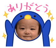 450481720