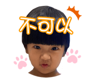 450559826