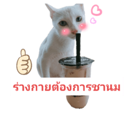 450623729