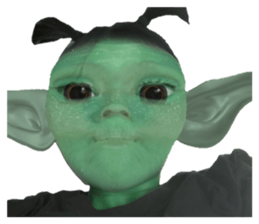 450701684