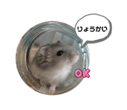 450902240
