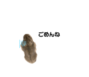 450902244