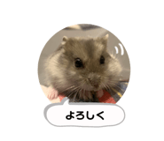 450902255