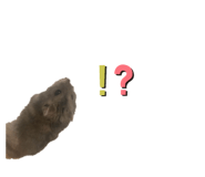 450902258
