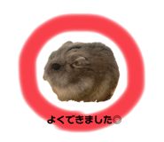 450902260