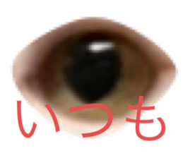 450965064