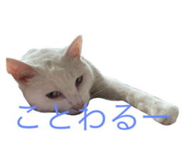 450965069