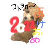 450968163