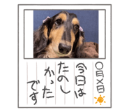 450995303
