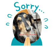450995317