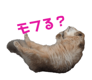 451160873