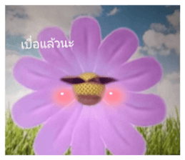 451214281