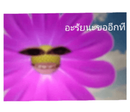 451214282