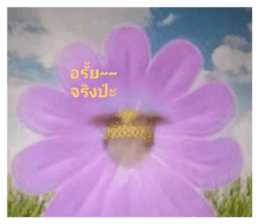 451214283