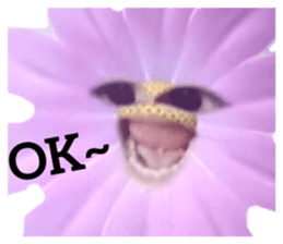 451214285