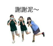 451217290