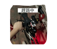 451217305