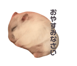 451225194