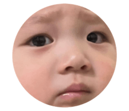 451240531