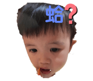 451240660